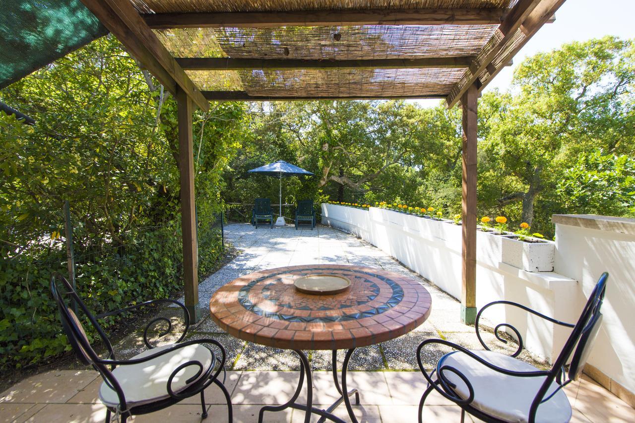 Residence Oasis Campiglia Marittima Εξωτερικό φωτογραφία